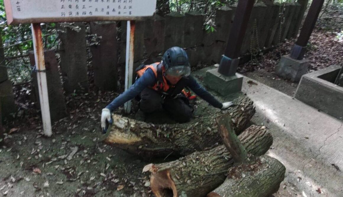 LINE_ALBUM_笛印　住吉神社 宇土市住吉町_230615_10